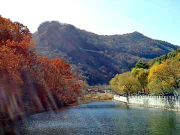 新澳天天免费资料大全，松下冰箱召回型号